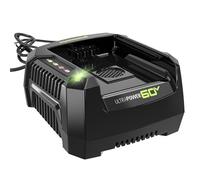 Greenworks Cargador rápido Pro de 60 V Ultra Potencia 6 A, Funciona con Todas Las baterías Greenworks