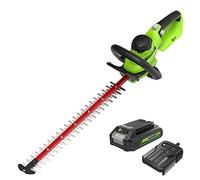 Greenworks Cortasetos a Batería 24V GD24HT61K2 Cuchillas de Doble Acción 61 cm, Corta Ramas y Tallos de Hasta 25.4 mm Grosor, 3200 spm, Batería 2Ah y Cargador, 3 Años de Garantía