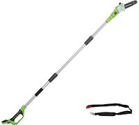 Greenworks Podadora de pértiga G24PS20 24V 20 cm, 2,6 m alcance, sin batería ni cargador