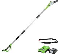 Greenworks G24PS20K2 Sierras telescópicas para exterior, Barra 8 Pulgada (20cm), Velocidad Cadena 6,7m/s, 3,2kg, Autoengrasado, Alcance de Poste 2,6m, Batería 24V 2Ah Cargador, Garantía de 3Años