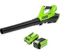 Greenworks G40ABK2 Soplador de Hojas a Batería Axial, con Control de Crucero, 177 km/h, 11,05 m³/min, Batería de 40V 2Ah y Cargador, Garantía de 3 Años