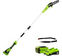 Greenworks G40PSFK2 Sierras telescópicas para exterior, Barra de 8 Pulgada (20 cm), Velocidad de Cadena 8 m/s, 3,64 kg, Autoengrasado, Poste 2.58m, Batería 40V 2Ah y Cargador, Garantía de 3 Años