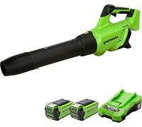 Greenworks GD40ABK2X Soplador de Hojas a Batería Axial con Motor sin Escobillas, 210 km/h, 15,6 m³/min, Dos Baterías de 40V 2Ah y Cargador, Garantía de 3 Años