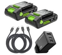 Greenworks Paquete de 2 baterías USB-C de Alta Potencia de 24 V y 2 Ah y Cargador USB-C de 65 W y Cable de 100 W, batería de Iones de Litio Adecuada para Todos los Dispositivos Greenworks de 24 V de