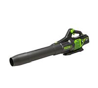 Greenworks Soplador de Hojas axial inalámbrico sin escobillas de 80 V (170 mph / 730 CFM / 75+ Herramientas compatibles), Solo Herramienta