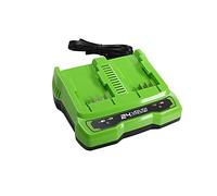 Greenworks Cargador doble ranura 24 V 2 A