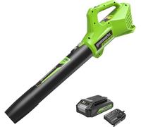 Greenworks Tools G24ABIIK2 Soplador de Hojas a Batería Axial, 145 km/h, 9,08 m³/min Batería de 24V y Cargador