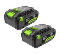 Greenworks TwinPack 24V 4Ah Batería Recargable de Alta Potencia USB-C Batería de Iones de Litio Compatible con Todos los más de 200 Dispositivos Greenworks 24V, 2 años de garantía - K2D8NNA