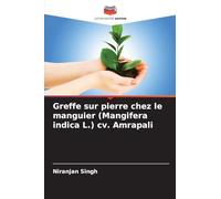Greffe sur pierre chez le manguier (Mangifera indica L.) cv. Amrapali