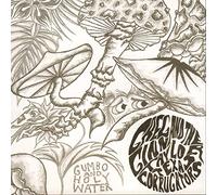 Greg Ginn - Gumbo & Holy Water