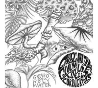 Greg Ginn - Gumbo & Holy Water