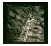 Gregg Bendian, Steuart Liebig, Jeff Gauthier, G. E. Stinson - Bone Structure