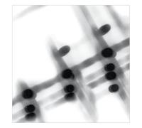 Gregor Samsa – 40:13.5 – Vinilo (Importación USA)