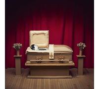 Gregory Pepper & His Problems - No Thanks [Vinilo]