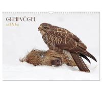 GREIFVÖGEL wild & frei (Wandkalender 2026 DIN A3 quer), CALVENDO Monatskalender: Greifvögel in faszinierenden Bildern