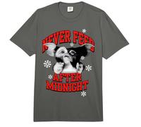 Gremlins Gizmo Never Feed After Midnight Comfort Colors Adult Heavyweight T-Shirt