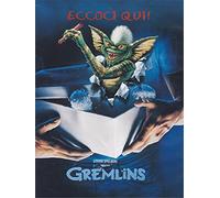 Gremlins (slim case) [Italia] [DVD]