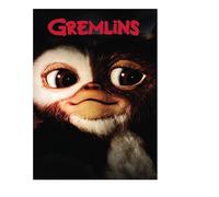 Gremlins (Special Edition) [Edizione: Stati Uniti] [Italia] [DVD]