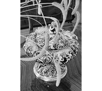 Griechische Philosophie: Entschlüsselung der Identität der menschlichen Gesellschaft: Eine kontemplative Reise durch die Seele der Gesellschaft