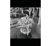 Griekse filosofie De moeder van de staat: Tweetalige uitgave met de Nederlandse en de originele Griekse tekst