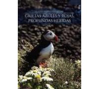 Grietas Azules Y Rojas Profundas Heridas