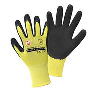 GRIFFY D Screen Touch L 14906-7 - Guantes de trabajo (nailon, talla 7, S EN 388 CAT II 1)