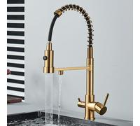 Grifo de cocina giratorio de 360° negro con filtro de latón de doble modo, acabado dorado cepillado, perfecto para agua potable y uso en la cocina