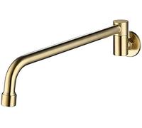 Grifo for fregadero de cocina, montaje en pared, grifos lavabo latón, interruptor oscilante semiautomático, fregona for piscina, grifo for, agua fría, níquel cepillado(Brushed Gold)