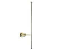 Grifo Monomando para Lavabo de Techo Grifo de Lavabo de Pared Latón para Agua Caliente Y Fría Grifo de Lavabo Color Oro Cepillado Grifo Del Fregadero Baño Cocina