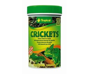 Grillos Tropicales 100ml