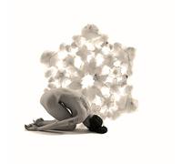 Grimm,Larkin - Chasing An Illusion [Vinilo]