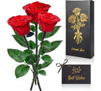 GRIRDDIV Rosa Eterna Regalos para Mujer, Rosa Preservada con Tallo Regalo Mujer, Flores Preservadas Ideas Regalos para Mama Novia Abuela Hermana Esposa, Regalo de Rosa preservada para Ella