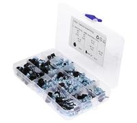 GRIRIW Kit de 120 Agujas de Grasa con Tapas Antipolvo para Automóviles, Accesorios de Engrase en Metal y Plástico con Instalación Fácil y Protección Completa