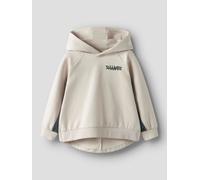 Gris Algodón Orgánico Sudadera Con Capucha