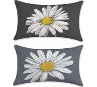 Gris Funda Cojin 60x90cm Fundas Cojines Sofa Terciopelo Fundas Cojines Exterior Impermeable Flor Funda Almohada Decorativos Exterior Jardin Juego de 2 para Cama Cojin Salon Outdoor Cushions u-14191