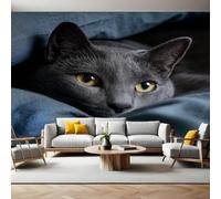 Gris Oscuro Fotomurales Animal Gato Negro Murales Papel Pintado Salon 350 x 250 cm Tejido No Tejido Papel Tapiz Fotográfico Sala Cuarto Oficina Salón Hotel