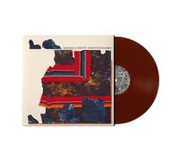 Grizzly Bear - Painted Ruins [Vinilo]