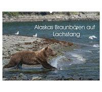 Grizzlybären im Katmai Nationalpark Alaska (Wandkalender 2026 DIN A2 quer), CALVENDO Monatskalender: Die Lachsflu¿sse an der Kukak Bay-Küste im Katmai ... den ganzen Sommer u¿ber zu beobachten sind.