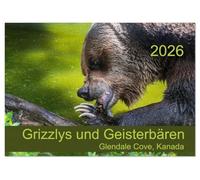 Grizzlys und Geisterbären - Glendale Cove, Kanada (Tischkalender 2026 DIN A5 quer), CALVENDO Monatskalender: Der Kalender zeigt beeindruckende ... und künstlerischer Fotokunst.