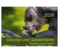 Grizzlys und Geisterbären - Glendale Cove, Kanada (Wandkalender 2026 DIN A2 quer), CALVENDO Monatskalender: Der Kalender zeigt beeindruckende Grizzly- ... und künstlerischer Fotokunst.