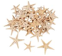 GROCKSTR Estrella pequeña de concha de mar para manualidades de playa, 0.4 a 1.2 pulgadas, 90 unidades