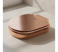 Grohe Selection Portarrollos Bronze, 41069DA0