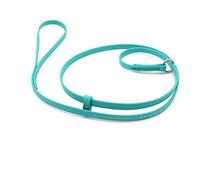 Groomers Pro Jelly Grooming Lead for Dogs | Great for Kennels, Veterinarians and Dog Grooming Salons | Biothane Leash - Easy to Clean, Waterproof & Durable Noose Loop | Made in The USA | 5/8" x 6'