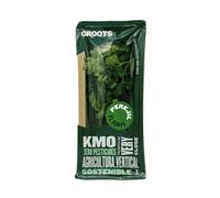 Groots | Pack Perejil Fresco | 50 g | Condimento Ideal para tus Recetas | Diurético | Rico en Vitaminas C y K | Cultivo Vertical sin Tierra | Hierba Aromática | Sin Pesticidas