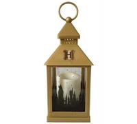 Groovy Harry Potter Lantern Merch