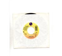 Groovy Train (Single Mix)/Stepping Stone (12" Mix)(U.S. 7 Inch Vinyl 45)