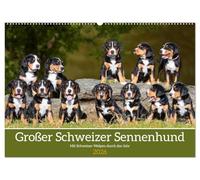 Großer Schweizer Sennenhund - Mit Schweizer Welpen durch das Jahr (Wandkalender 2026 DIN A2 quer), CALVENDO Monatskalender: 13 entzückende Fotos von ... begleiten Liebhaber der Rasse durch das Jahr