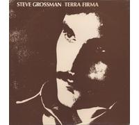 Grossman,Steve - Terra Firma [Import] [Vinilo]