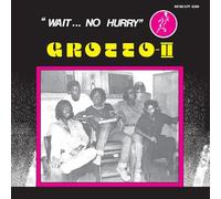 Grotto - Grotto Ii: Wait No Hurry [Vinilo]