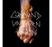 Ground Unicorn Horn - Damn I Wish I Was Fat [Vinilo]